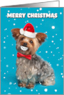 Merry Christmas Yorkie Dog in Santa Hat Smiling Humor card