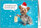 Merry Christmas Yorkie Dog in Santa Hat Face Mask Humor card