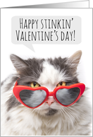 Happy Valentine’s Day Funny Sarcastic Cat in Heart Glasses Humor card