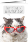 Happy Valentine’s Day Funny Sarcastic Cat in Heart Glasses Humor card
