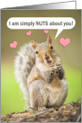 Happy Valentine’s Day Cute Squirrel Nuts About You Humor card