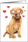 Happy Valentine’s Day Red Fox Labrador Puppy Humor card