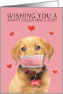 Happy Valentine’s Day Labrador in Face Mask Humor card