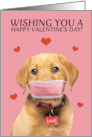 Happy Valentine’s Day Labrador in Face Mask Humor card