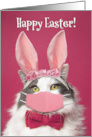 Happy Easter Cat in Bunny Ears and Face Mask Humor card