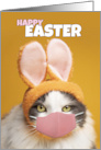 Happy Easter Cat in Bunny Ears and Face Mask Humor card