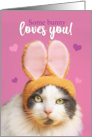Happy Valentine’s Day Funny Cat in Bunny Ears Humor card