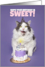 Happy Birthday Cat With Cake Licking Face Humor card