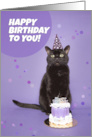 Happy Birthday Black Cat in Party Hat With Cake Humor card