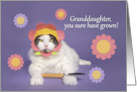 Happy Birthday Grandaughter Cat in Flower Hat Humor card