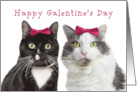 Happy Galentine’s Day Cute Girl Cats humor card