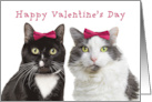 Happy Valentine’s Day For Female Friend Girl Cats Humor card