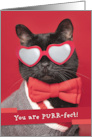 Happy Valeneitne’s Day Cute Cat in Heart Glasses Humor card