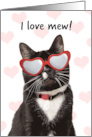 Happy Valeneitne’s Day I Love Mew Cute Cat in Heart Glasses Humor card