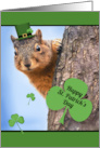 Happy St Patrick’s Day Squirrel in Hat Humor card