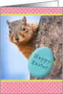 Happy Easter For Anyone Squirrel With Egg Humor card