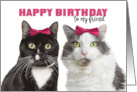Happy Birthday Female Friend Cute Cats in Pink Bows Humor card