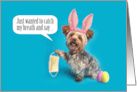 Happy Easter Yorkie Taking Pandemic Face Mask Off Humor card