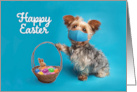 Happy Easter Yorkie Dog in Face Mask With Easter Basket Humor card