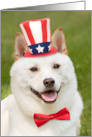 Happy Fourth of July Anyone Shiba Inu Dog In Patriotic Hat Humor card