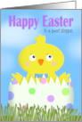 Happy Easter Stepson Cute Boy Chick in Egg card