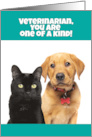 Happy Doctors Day Veterinarian Cute Cat and Puppy card