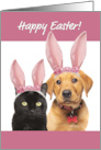 Happy Easter For Anyone Cute Cat and Dog in Bunny Ears card