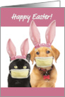 Happy Easter For Anyone Cute Cat and Dog in Covid 19 Face Masks card
