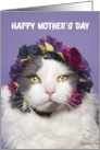 Happy Mother’s Day Cute Cat in Flower Crown Humor card