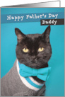 Happy Father’s Day Daddy Cute Cat in Sweater and Bow Tie Humor card