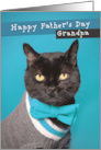 Happy Father’s Day Grandpa Cute Cat in Sweater and Bow Tie Humor card