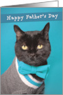 Happy Father’s Day Anyone Cute Cat in Sweater and Bow Tie Humor card