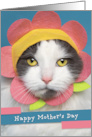 Happy Mother’s Day For Anyone Cute Cat in Flower Hat Humor card