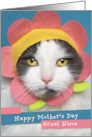 Happy Mother’s Day Great Niece Cute Cat in Flower Hat Humor card