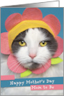 Happy Mother’s Day Mom to Be Cute Cat in Flower Hat Humor card