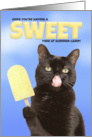 Thinking of You Summer Camp Wishes Funny Cat With Ice Pop Humor card