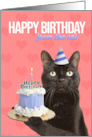 Happy Birthday From The Cat Kitty With Cake Humor card