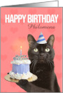 Happy Birthday Custom Name Cute Cat in Party Hat With Cake Humor card
