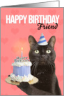 Happy Birthday Friend Cute Cat in Party Hat With Cake Humor card