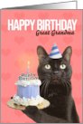 Happy Birthday Great Grandma Cat in Party Hat With Cake Humor card