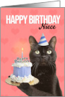 Happy Birthday Niece Cat in Party Hat With Cake Humor card