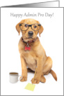 Happy Administrative Professional Day Cute Labrador Puppy Humor card