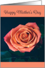 Happy Mother’s Day Beautiful Peach Rose Photograph card