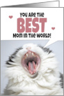 Happy Mother’s Day Cat Shouting Humor card