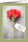 Happy Mother’s Day Mother Beautiful Carnation With Tag card