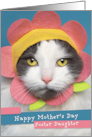 Happy Mother’s Day Foster Daughter Cute Cat in Flower Hat Humor card