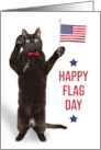 Happy Flag Day Funny Black Cat Holding Flag and Saluting card