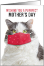 Happy Mother’s Day Funny Cat in Covid Face Mask Humor card