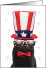 Happy Fourth of July Cool Cat in Sunglasses Humor card