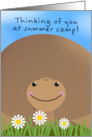 Thinking of You at Summer Camp Turtle card